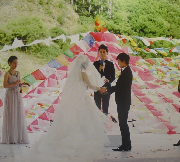 谢娜和张杰的婚纱照_张杰和谢娜的结婚纱照(3)