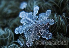 近距离看漂亮的雪花