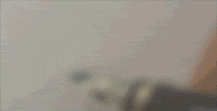 дqq_ŵд