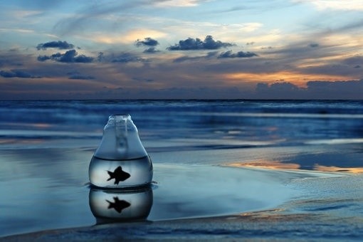 ռҳͼƬز www.qqpao.com
