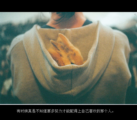  qqռͼ 
