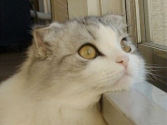 ԵĽ