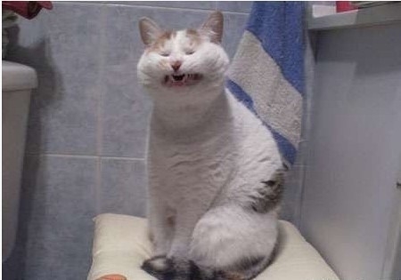 ĺ