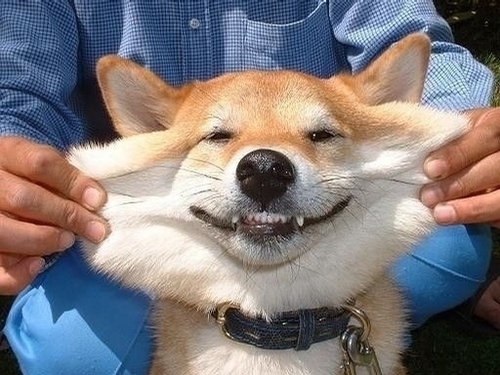 ЦĹ