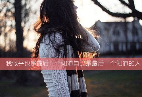 ֵͼƬ