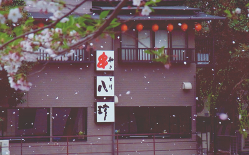 ʫ