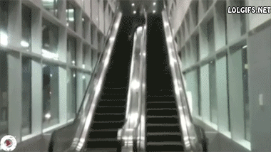 棬ײ