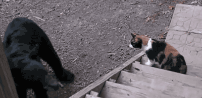 ʺ