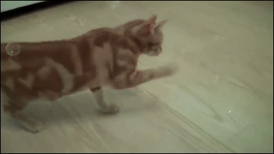 ʲô
