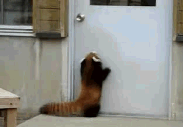ɰС