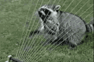 ɰС