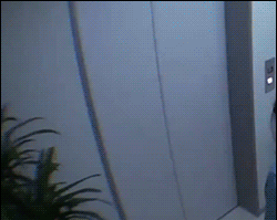 ˵ķ