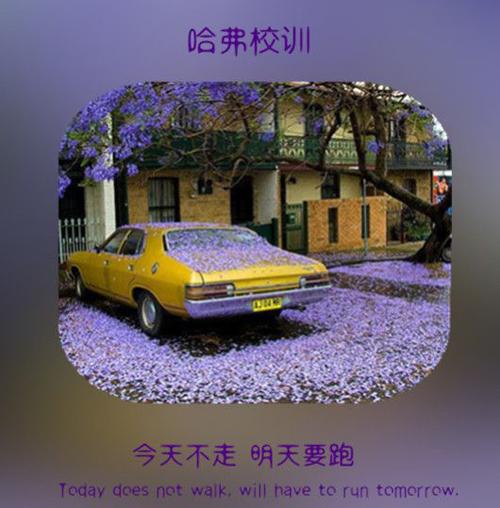 Ҫ