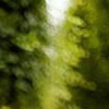 ⾳4