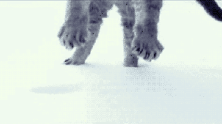 Цqq_ѩ