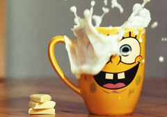 ��������ʳ������ͼƬ_����������ʳ