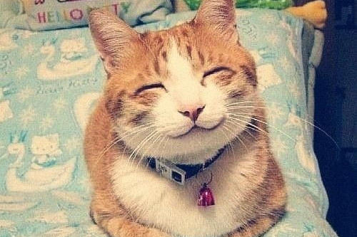 С