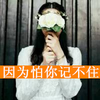 Ц