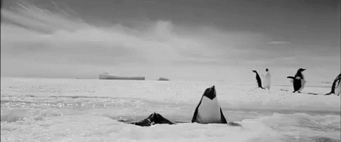 С