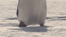 С