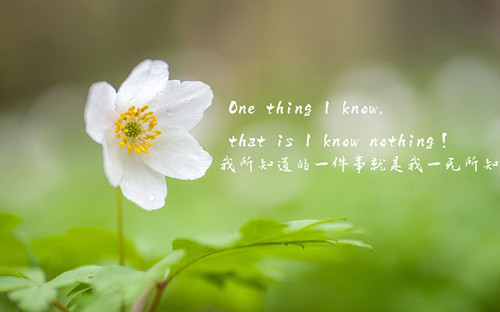 ˵