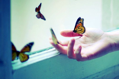 ָϵĺͼƬ