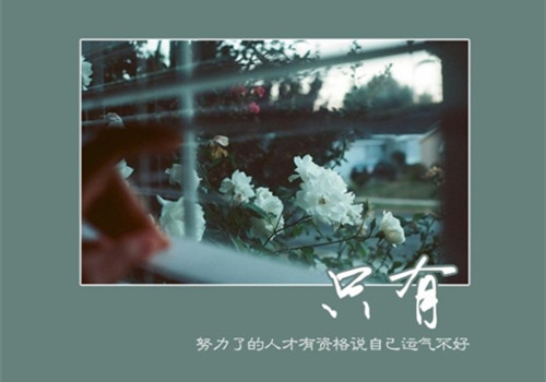 ֻ
