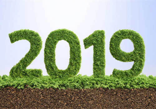 2019
